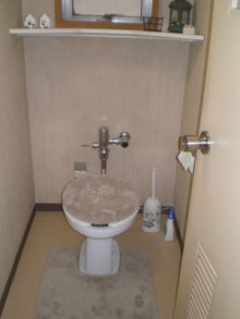 フラシュバルブの便器をサティスに取替えました フラシュバルブの便器をサティスに取替えました